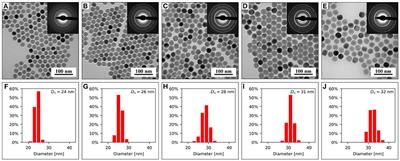 Monodisperse Core-Shell NaYF4:Yb3+/Er3+@NaYF4:Nd3+-PEG-GGGRGDSGGGY-NH2 Nanoparticles Excitable at 808 and 980 nm: Design, Surface Engineering, and Application in Life Sciences